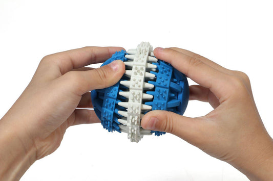 Dental Treat Ball