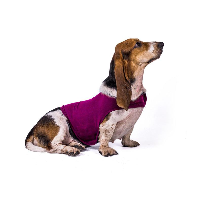Serenity Comfort Vest
