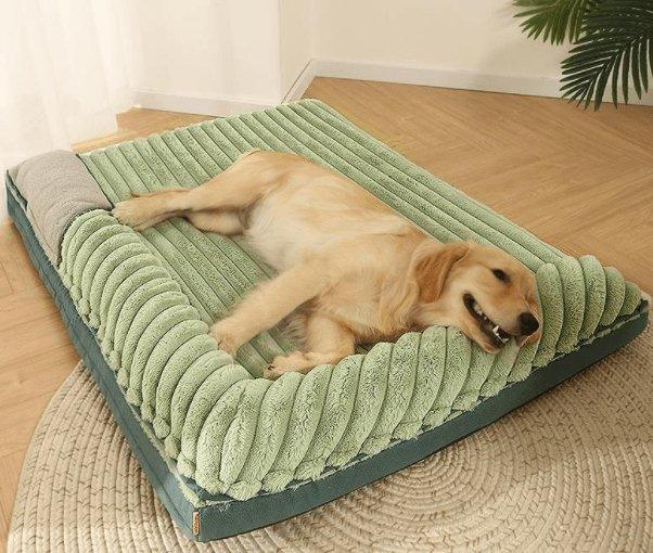Cloud Comfort Bed